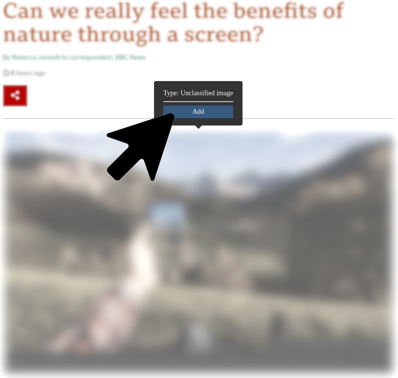 A pop-up with the “Add” button on the bottom will appear close to the image (placement of this pop-up may vary according to your mouse position)