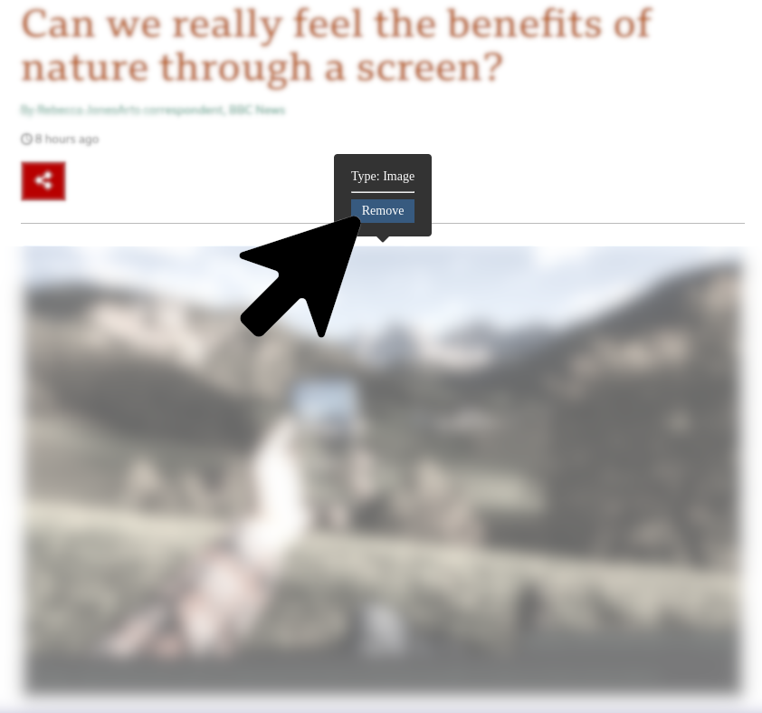 Pop-up containing a “Remove” button at the bottom, used for removing an image.